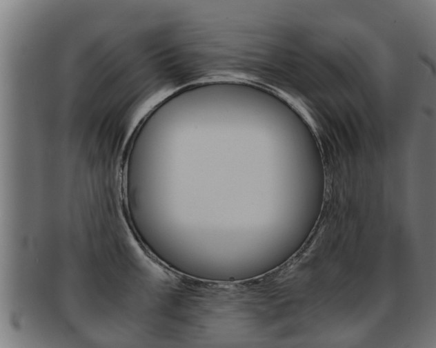 X0000091961003200709061056