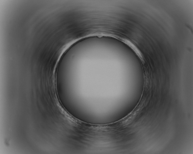 X0000091961004200709061056