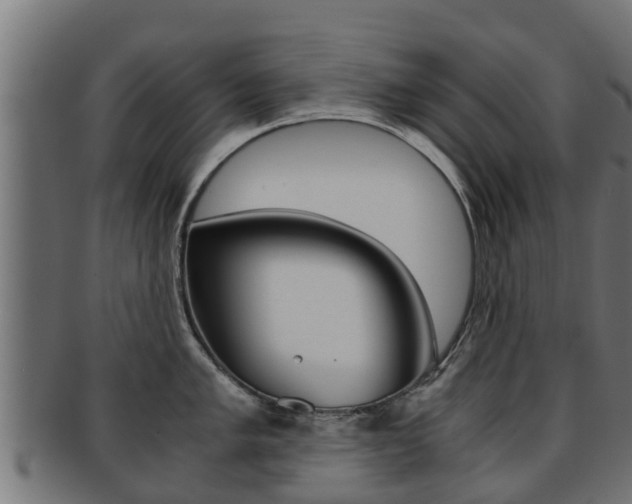 X0000091961005200709061056