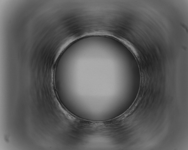 X0000091961006200709061056