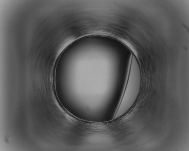 X0000091961007200709061056