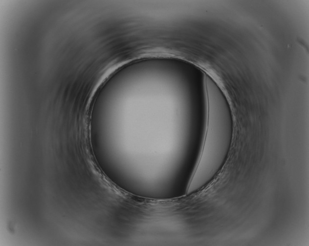 X0000091961008200709061056