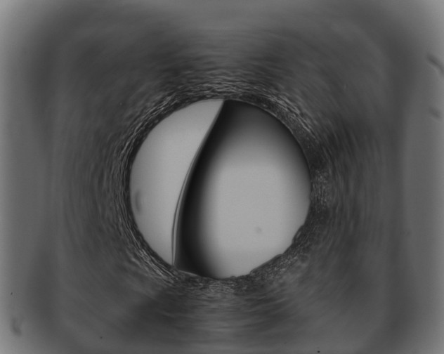 X0000091961009200709061055