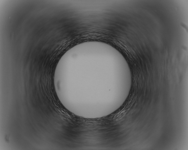 X0000091961010200709061055