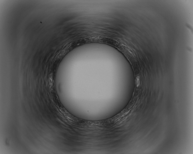 X0000091961011200709061055
