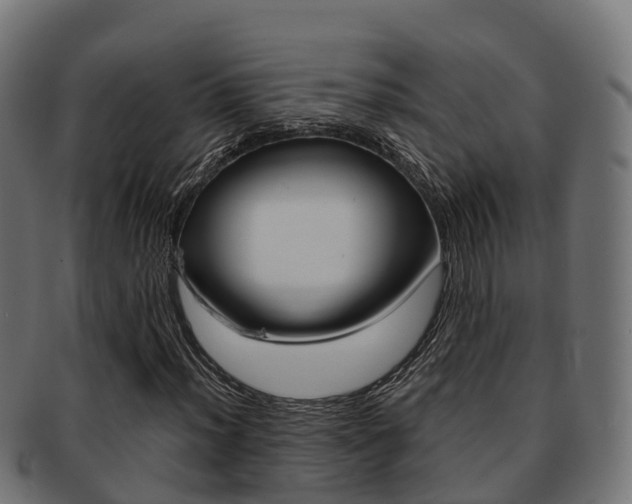 X0000091961012200709061055