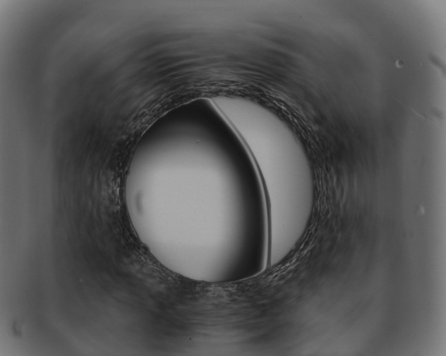 X0000091961013200709061055