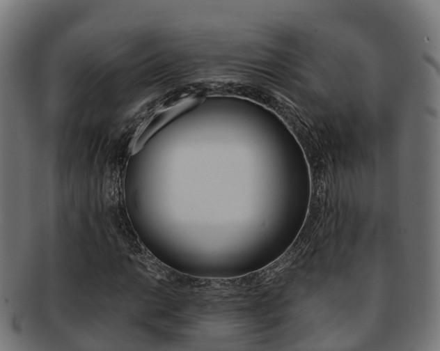 X0000091961014200709061055