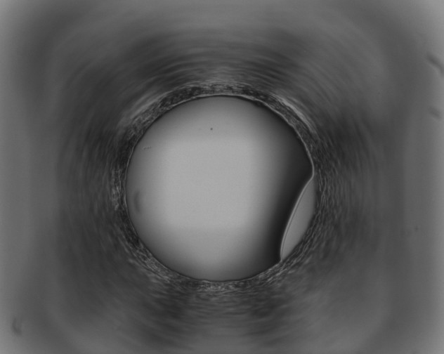 X0000091961015200709061055
