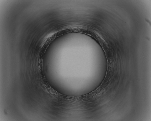 X0000091961016200709061055