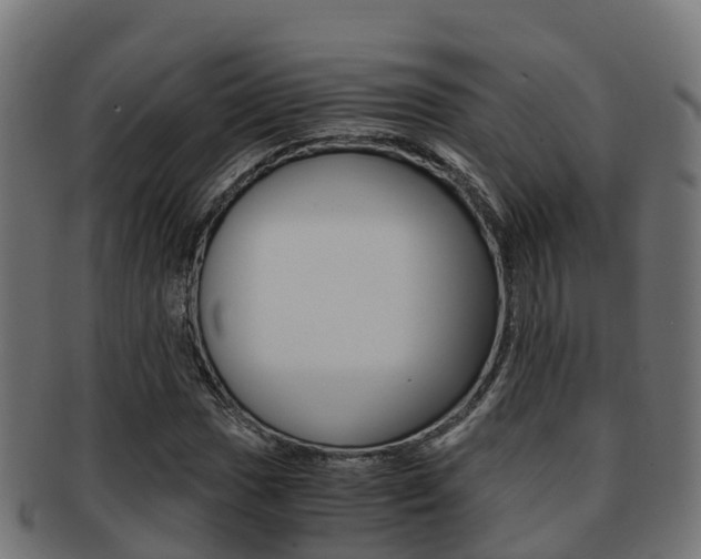 X0000091961017200709061055