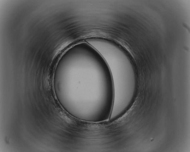 X0000091961018200709061055