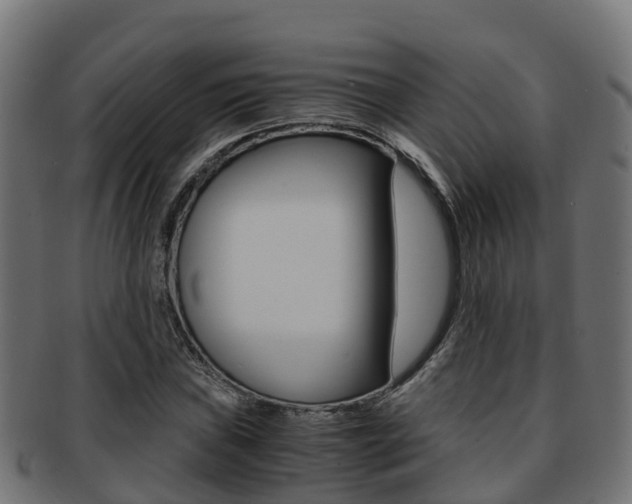 X0000091961019200709061055