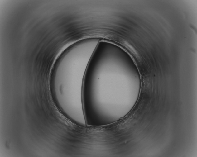 X0000091961020200709061055