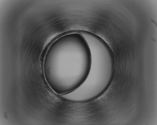 X0000091961022200709061055