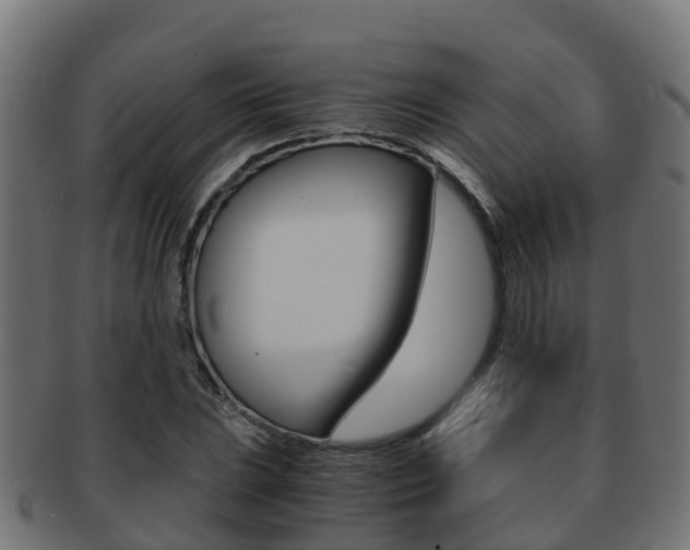 X0000091961023200709061055