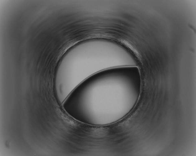 X0000091961025200709061055