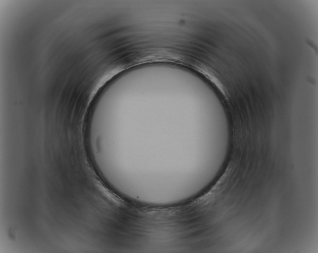 X0000091961026200709061055