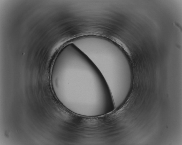 X0000091961027200709061056