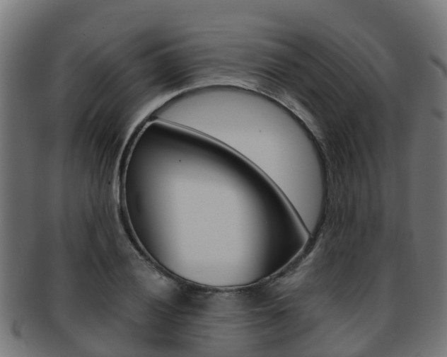 X0000091961028200709061056