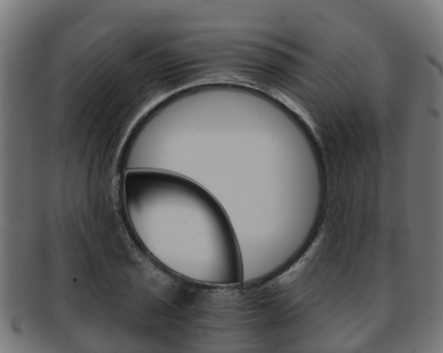 X0000091961029200709061056