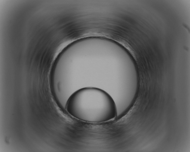 X0000091961030200709061056