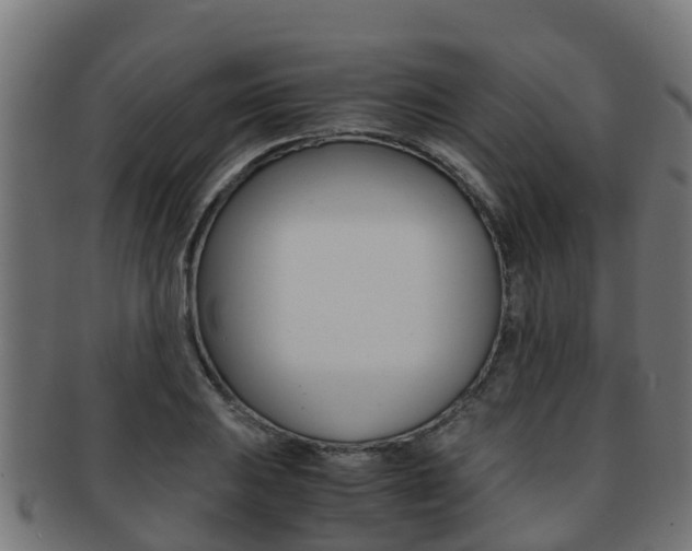 X0000091961031200709061056