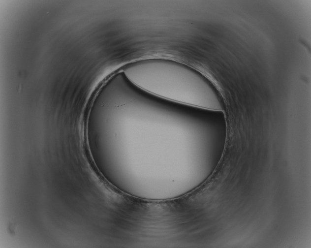 X0000091961032200709061056
