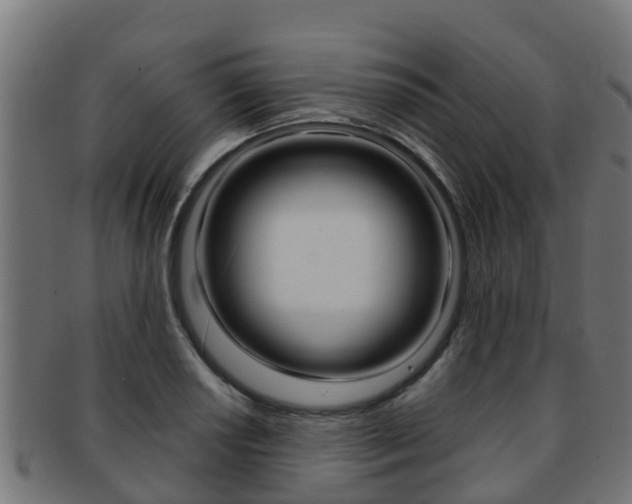 X0000091961034200709061056