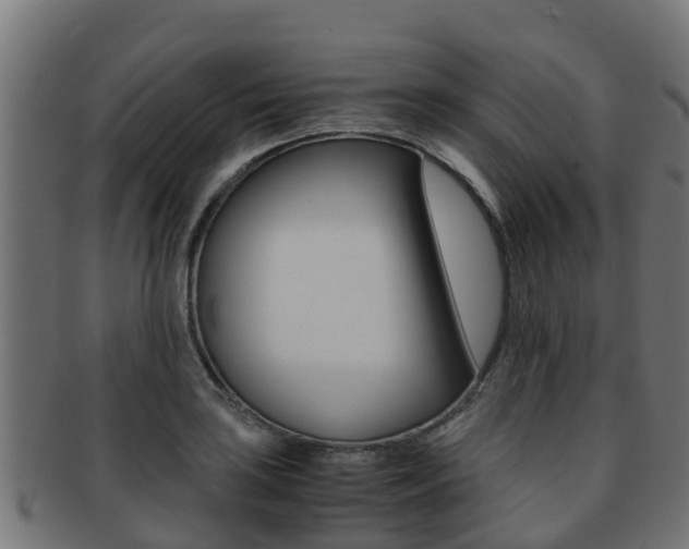 X0000091961035200709061056