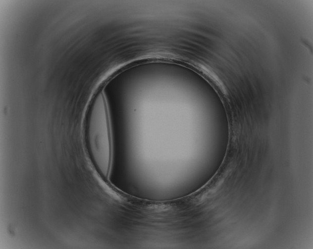 X0000091961037200709061056