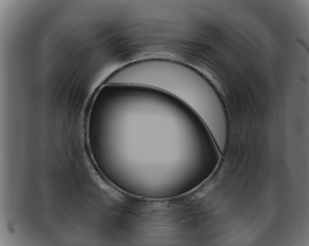 X0000091961038200709061056