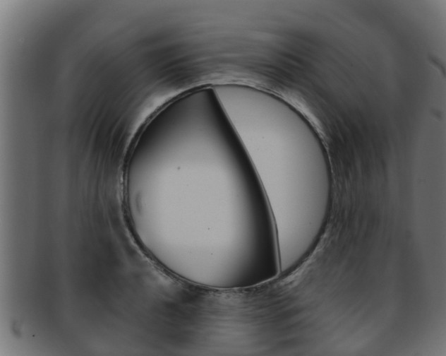 X0000091961040200709061056