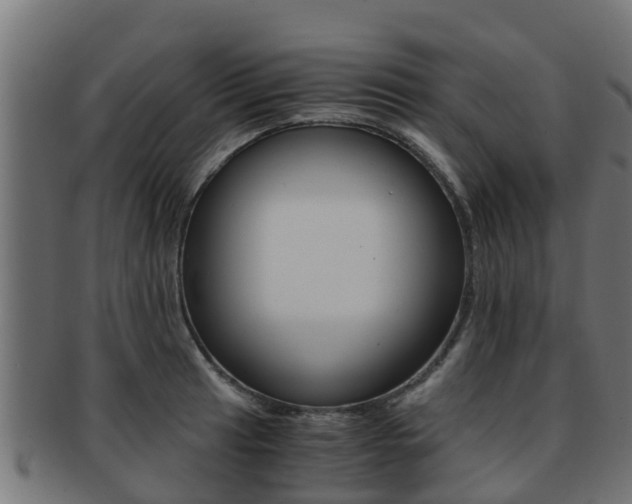 X0000091961041200709061056