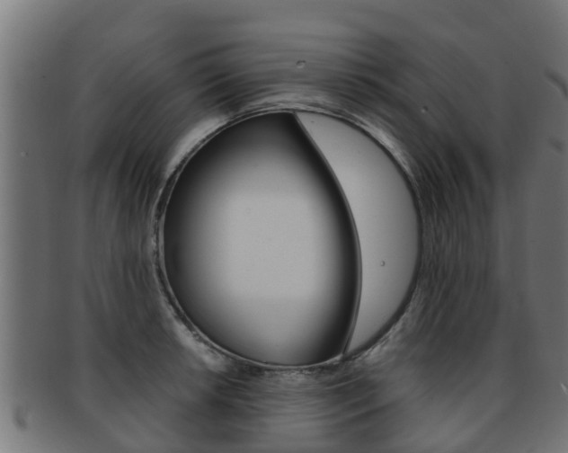 X0000091961042200709061056