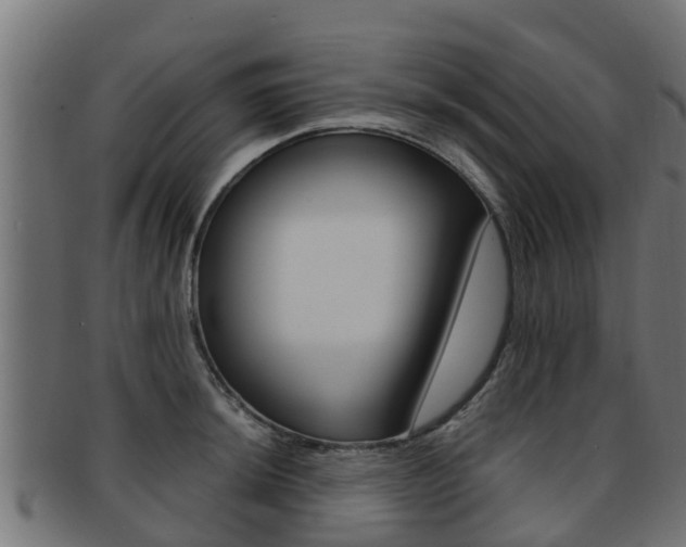 X0000091961044200709061056