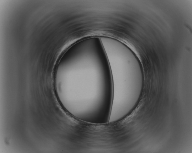 X0000091961045200709061056