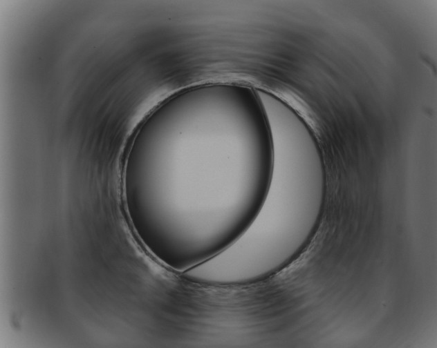 X0000091961046200709061056