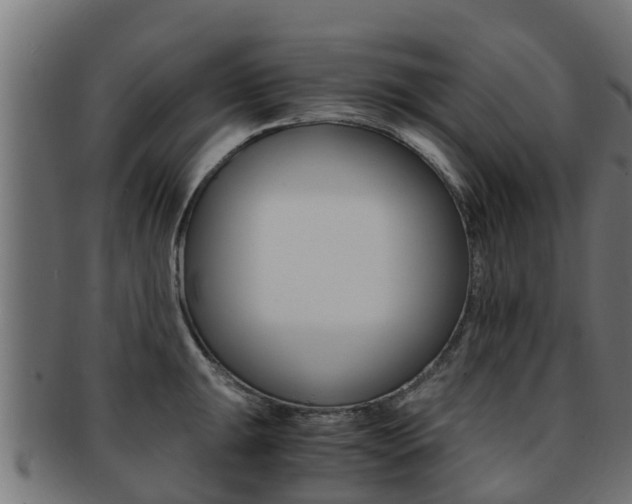 X0000091961047200709061056