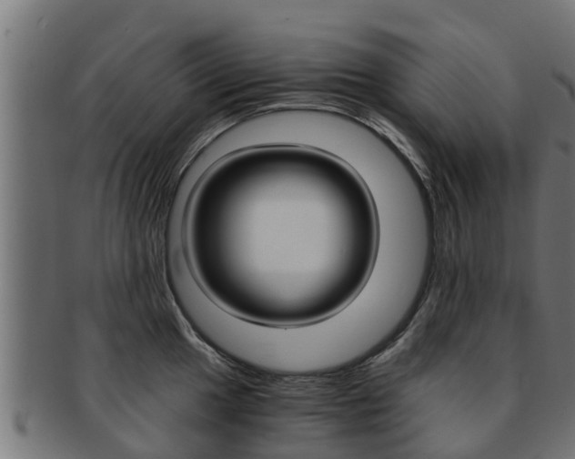 X0000091961049200709061056