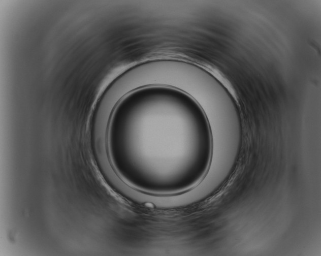 X0000091961053200709061056