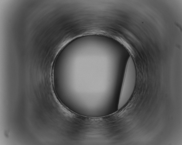X0000091961055200709061056