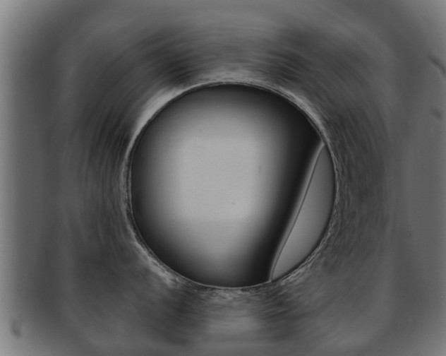 X0000091961056200709061056