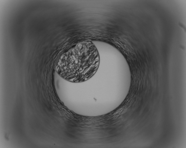 X0000091961057200709061055
