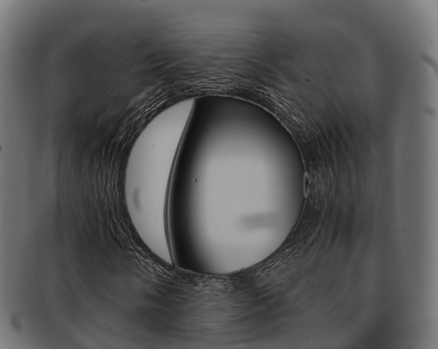 X0000091961058200709061055