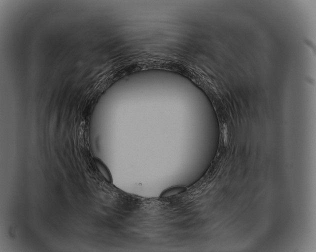 X0000091961059200709061055