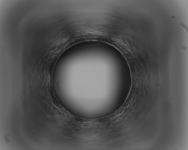 X0000091961061200709061055