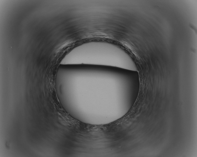 X0000091961063200709061055