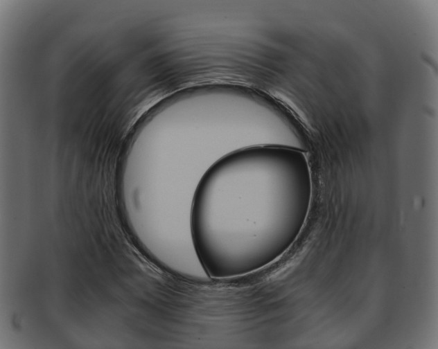 X0000091961065200709061055