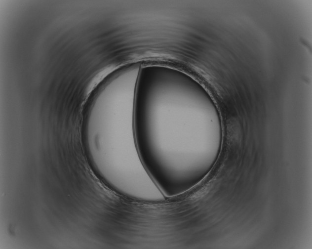 X0000091961066200709061055